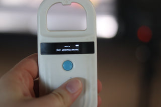 Betty - Available Now