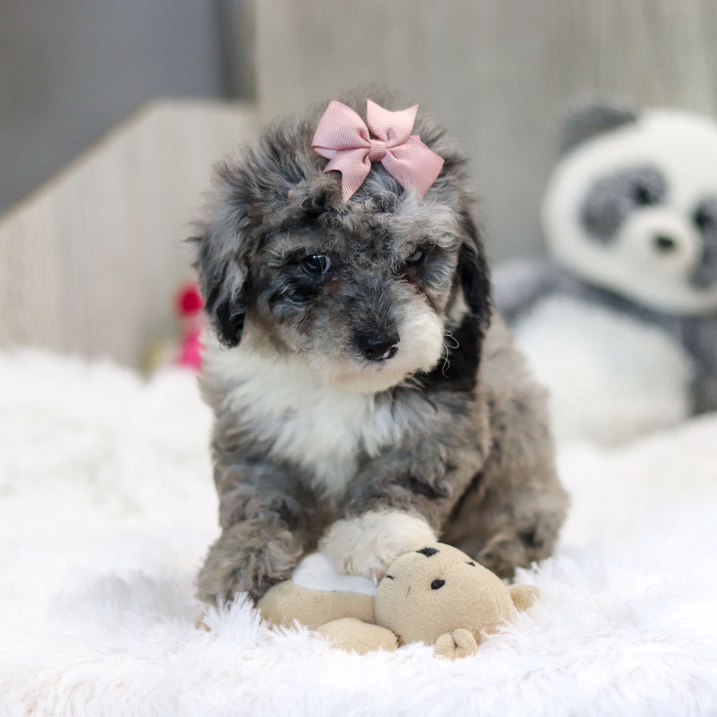 Jodie - Available 10/29