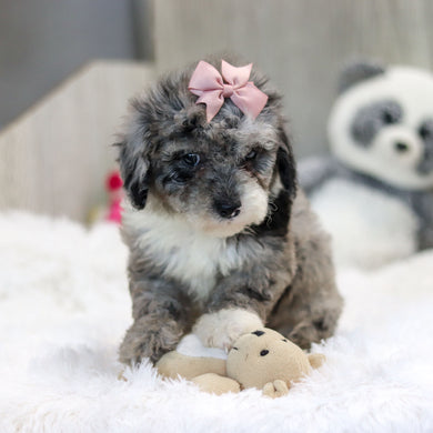 Jodie - Available 10/29