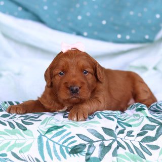 Jenny - Available 5/14