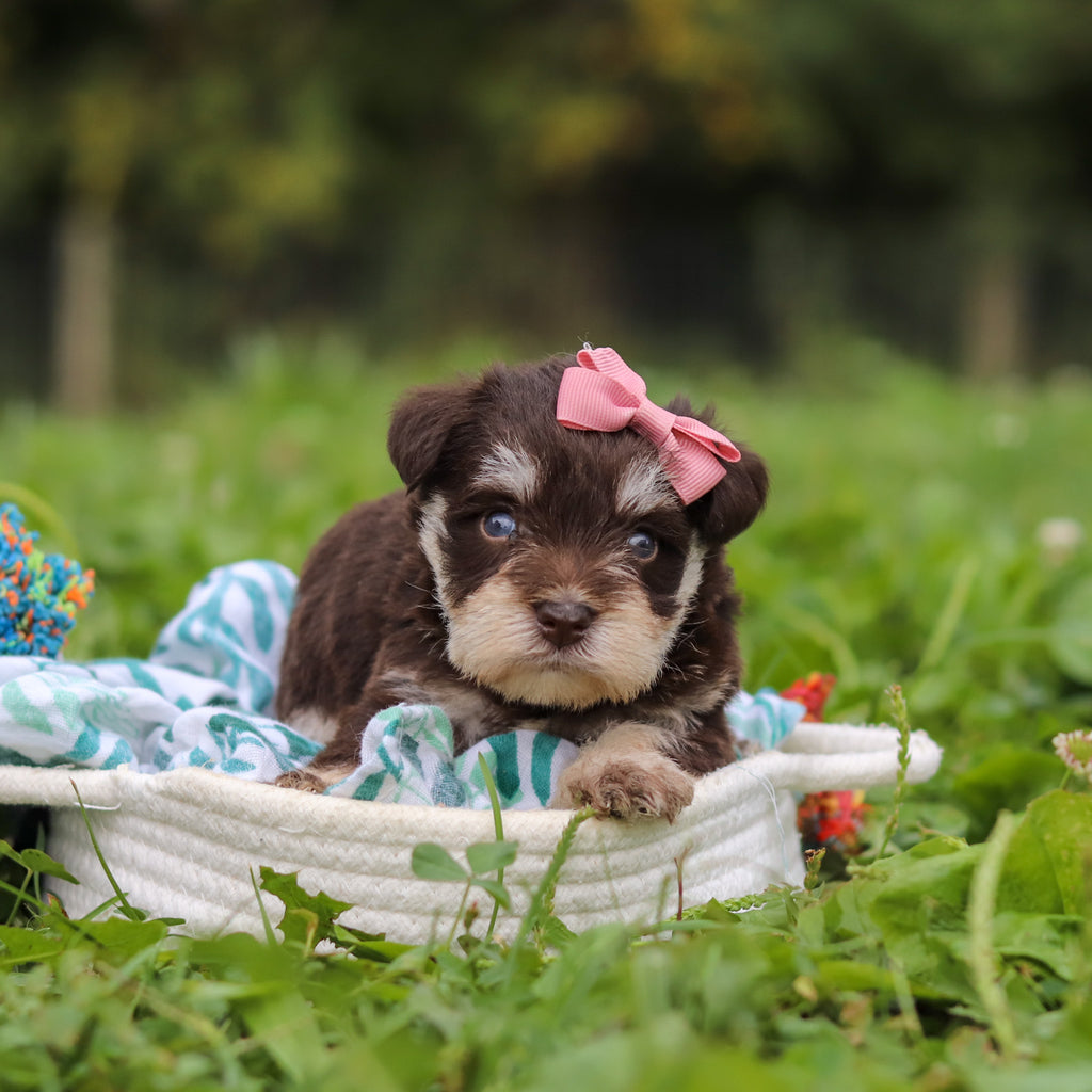 Alina - Available 10/8