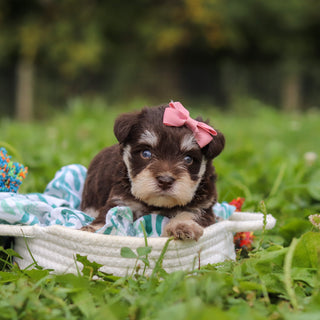 Alina - Available 10/8