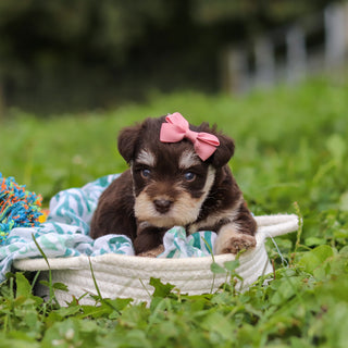 Alina - Available 10/8
