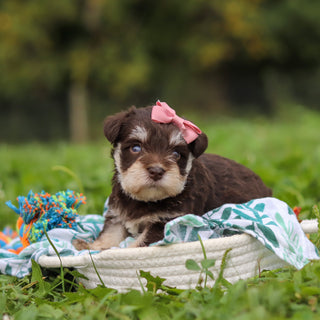 Alina - Available 10/8