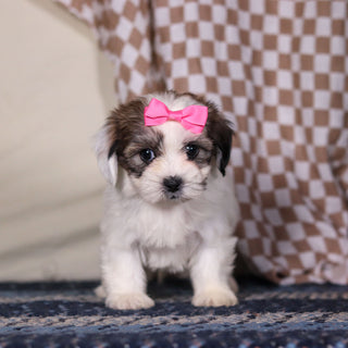 March - Available 3/12