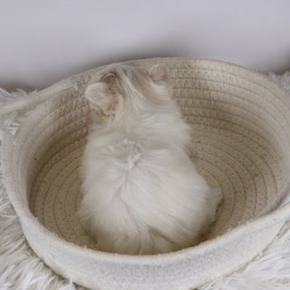 Gail - Available 12/17