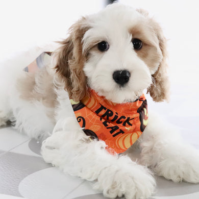 Irvin - Available Now