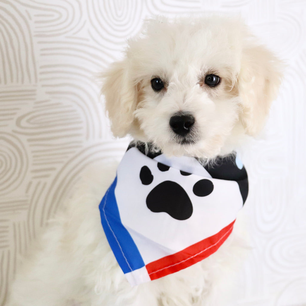 Cleveland - Available Now