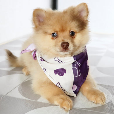 Sara - Available Now