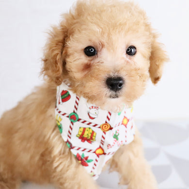 Blue - Available Now