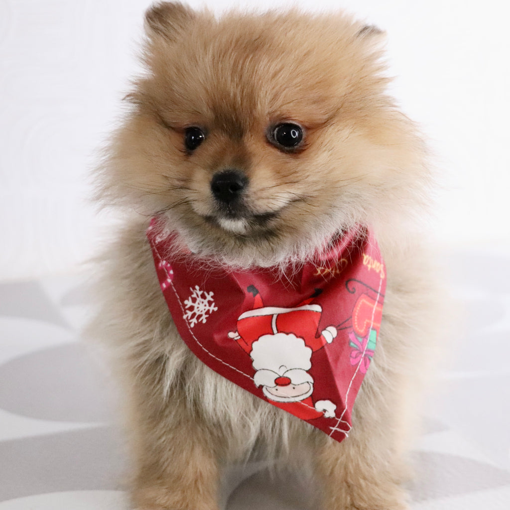 Abbott - Available Now