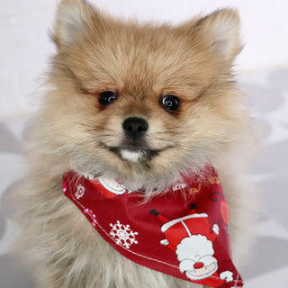 Abbott - Available Now