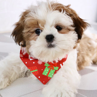 Bobby - Available Now