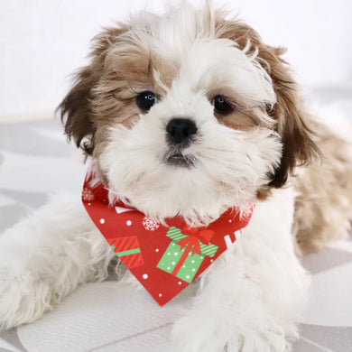 Bobby - Available Now