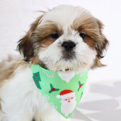 Will - Available Now