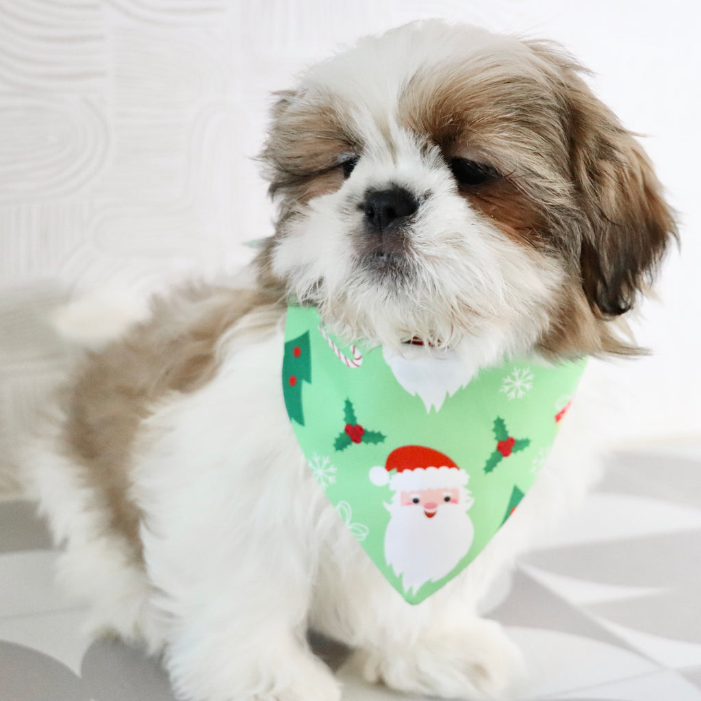 Will - Available Now