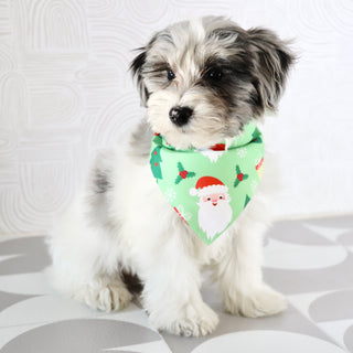 Alfred - Available Now