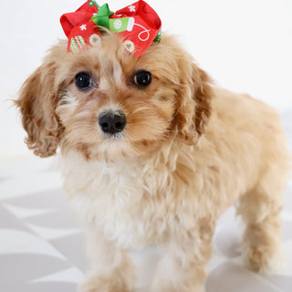 Pine - Available Now