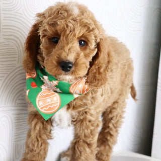 Belen - Available Now