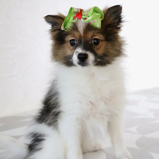 Maggie - Available Now