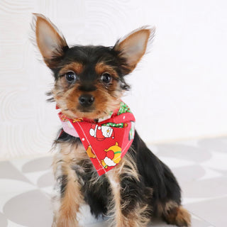 Trudy - Available Now