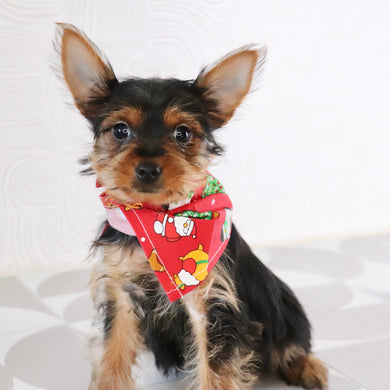 Trudy - Available Now