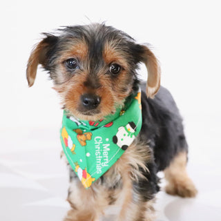 Wanda - Available Now