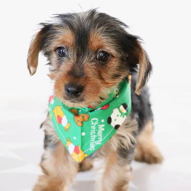 Wanda - Available Now