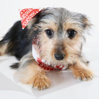 Fairway - Available Now