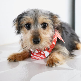 Fairway - Available Now