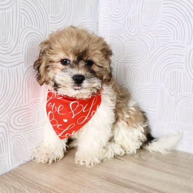 Caden - Available Now