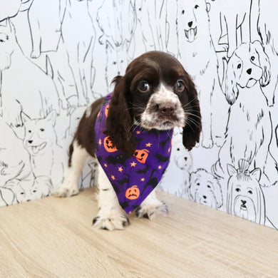 Birdie *PRE-TRAINED* - Available 11/23