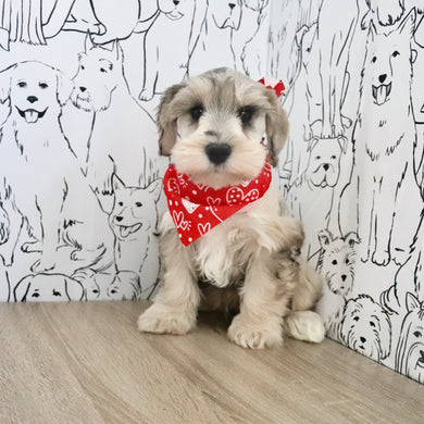 Hughes - Available Now