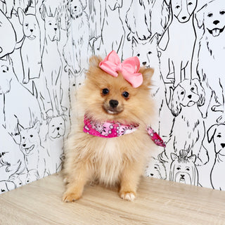 Posey - Available Now