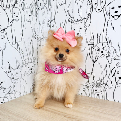 Posey - Available Now