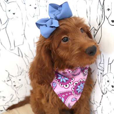 Talia - Available Now