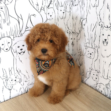 Mills - Available Now