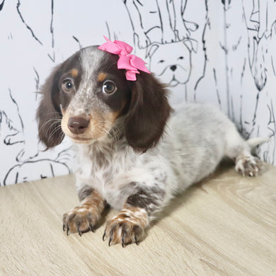 Tinsley - Available Now