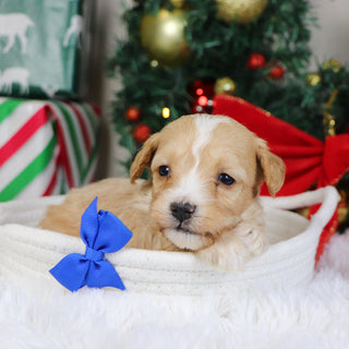 Jason - Available 1/21