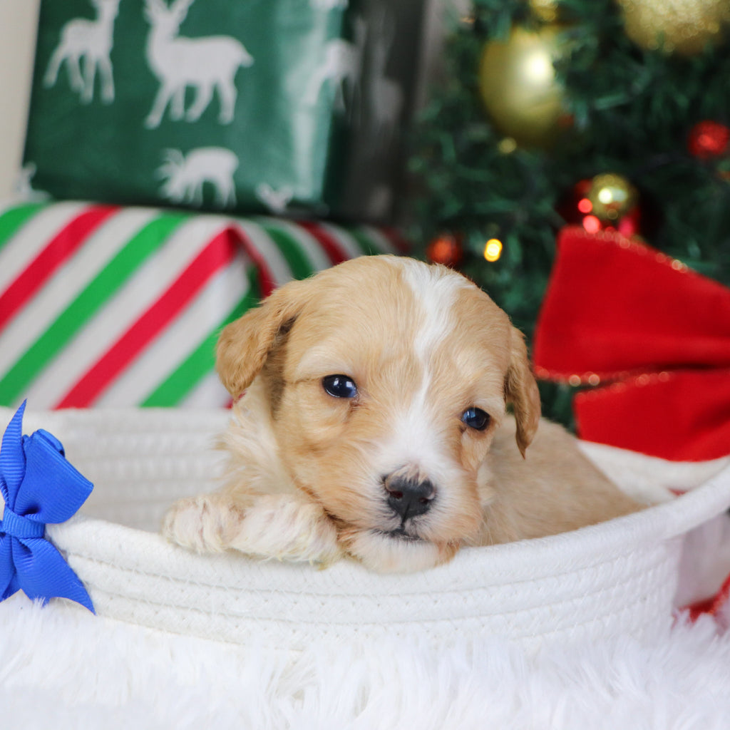 Jason - Available 1/21