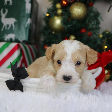 Jim - Available 1/21