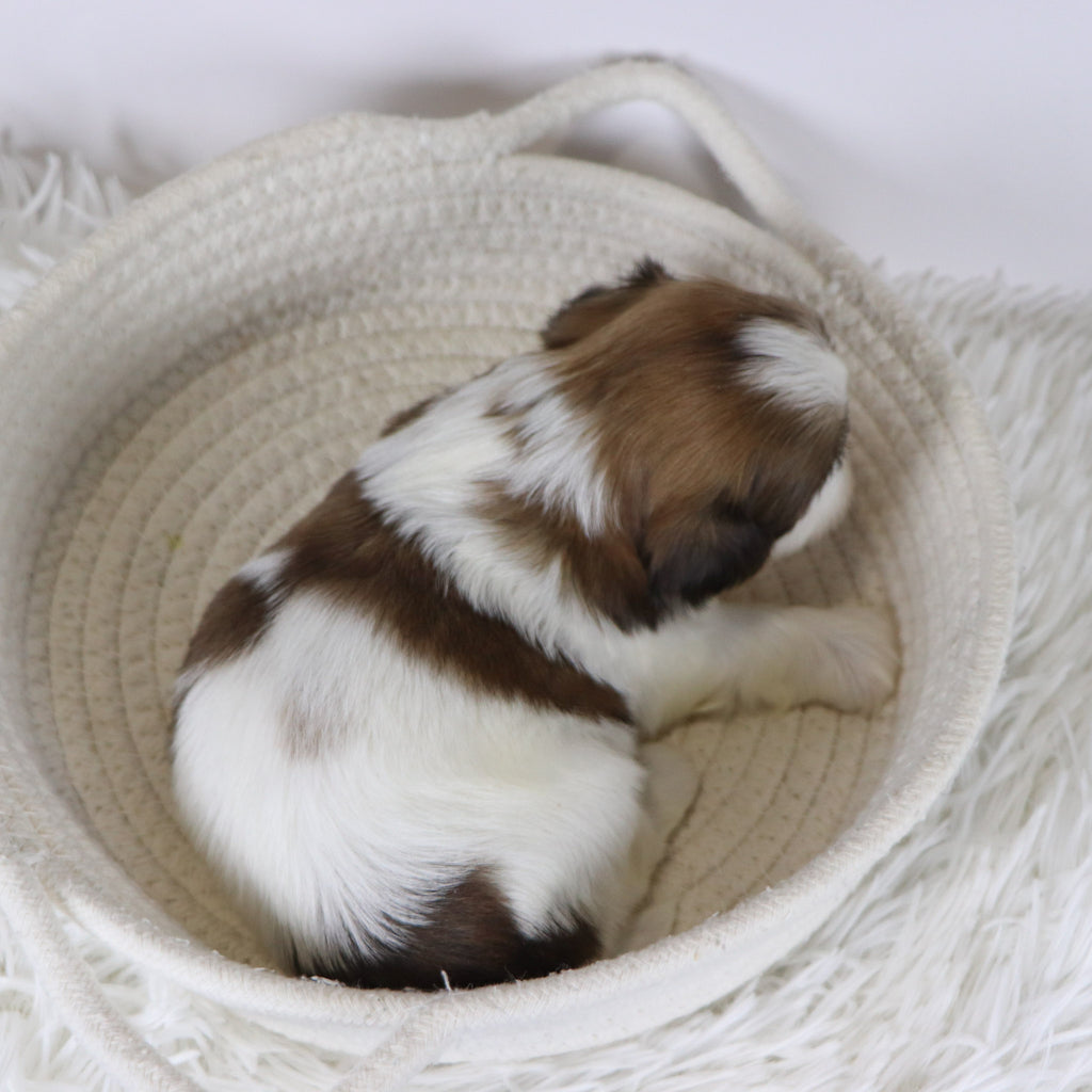 Leigh - Available 12/17