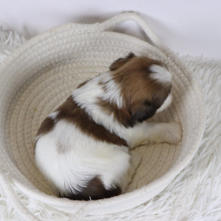 Leigh - Available 12/17