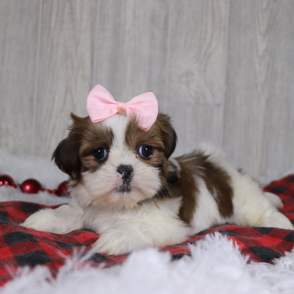 Leigh - Available 12/17