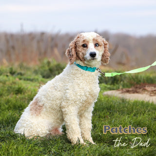 Quaker - Available 1/15