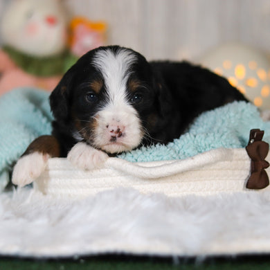 Colton - Available 5/7