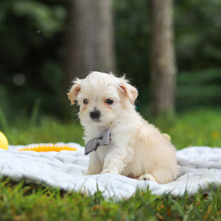Kevin - Available 8/13