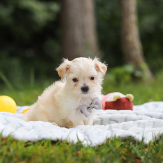 Kevin - Available 8/13