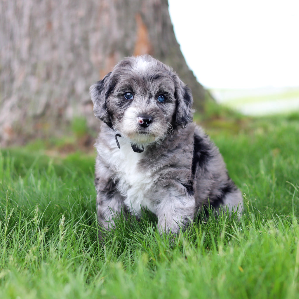 Spike - Available 5/28