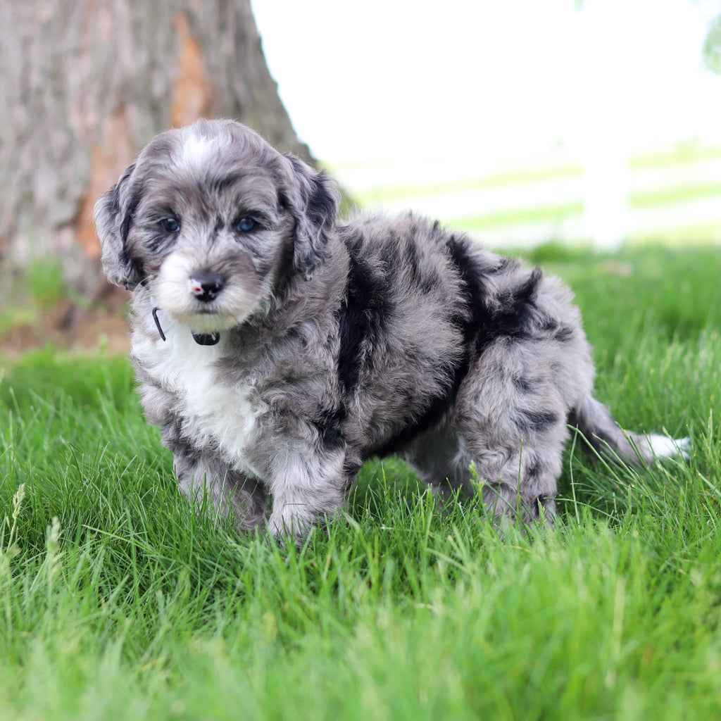 Spike - Available 5/28